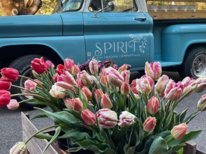 Catskills-First-Friday