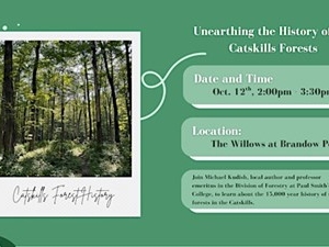 Unearthing-the-History-of-the-Catskills-Forests-Forest-walk