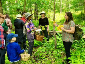 wild-hudson-valley-foraging-workshop-cairo-ny