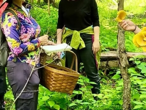 Forest Farm Tour with Wild Hudson Valley
