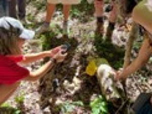 Wild Hudson Valley Forest Farm Tour