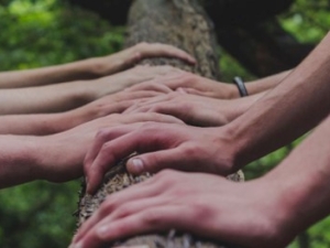 Guided Mindful Forest Walk with Beth Rennig