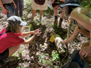 Wild-Hudson-Valley-forest-farm-tour
