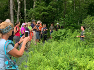 Wild-Hudson-valley-cairo-ny-eco-camp-nature-workshop