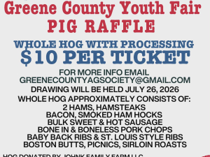 pig raffle greene county youth fair