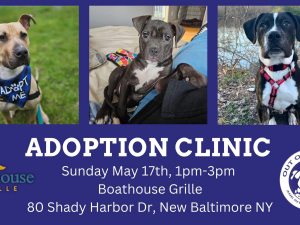 adoption-clinic-boathouse-grille-fundraiser