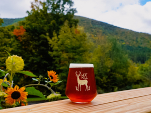 Things-to-do-northern-catskills-oyster-festival-in-the-mountains-outdoor-events-cape-cod-oysters-live-music-food-truck-on-site-tattoos