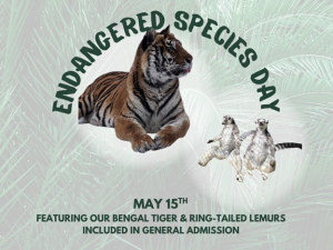 bailiwick-endangered-species-day-catskill-ny