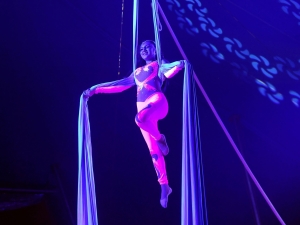 Zerbini circus at Cairo