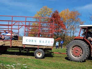 tractor with corn maze sign