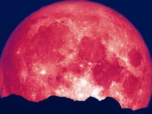 credit d.mach Mountain-top-historical-society-guided-hike-catskills-strawberry-moon-things-to-do