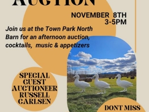 live-music-community-event-duck-auction