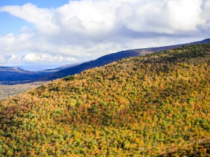 fall foliage at Hunter