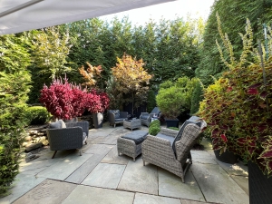garden 1
