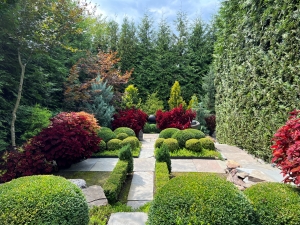 garden 3