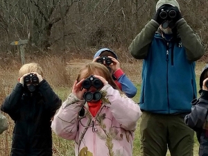 introduction to bird identification