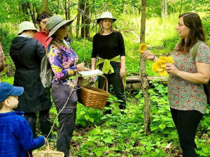Wild-Hudson-valley-cairo-ny-eco-camp-nature-workshop-night-in-the-forest