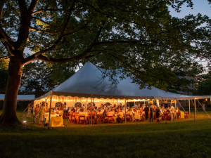 thomas-cole-the-summer-party-fundraiser-auction-catskill-ny