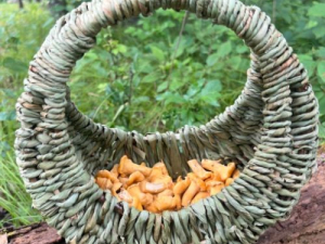 Basket-weaving-workshop-kaaterskill-market-Learn-a-new-skill-