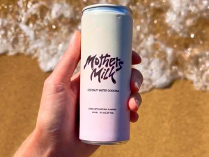 Scribner's-Catskill-Lodge-winter-mini-market-meet-the-maker-hunter-ny