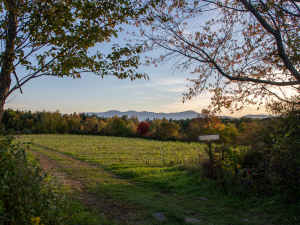 free-Art-events-in-may-great-northern-catskills-greenville-art-in-the-park