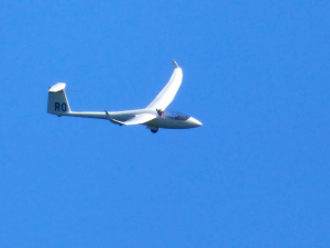 nutmeg-soaring-freehold-ny