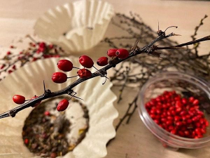 paint-making-invasive-species-agroforestry-resource-center-acra-ny