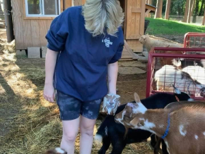 events-for-kids-and-families-catskills-tiny-house-resort-goat-yoga