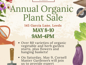 Stoneledge-farm-plant-sale-leeds-ny