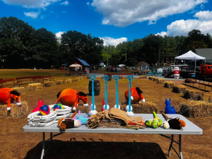 Catskill Mountain Redneck Festival Redneck Olympics. Toilet Ring Toss. Burlap Sack Races. Hippity Hop Races.