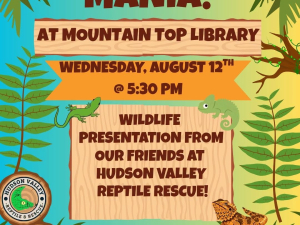 summer-free-family-events-in-the-great-northern-catskills-mountain-top-library-childrens-events-reptile-presentation