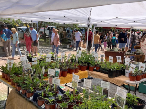spring-plant-sale-mountain-top-arboretum