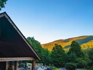 great-northern-catskills-spring-event-west-kill-brewing-oyster-festival