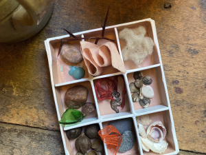 found-objects-thomas-cole-historic-site-catskill-ny