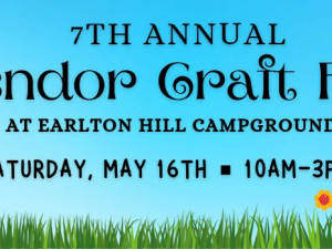 vendor-craft-fair-earlton-ny
