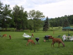 Pine Ridge Farm Guest and Carriage House