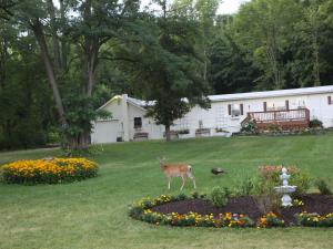 Pine Ridge Farm Guest and Carriage House