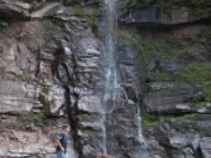 Person and dog standing at the base of Kaaterskill Falls during summer