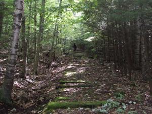 Kaaterskill Rail Trail in the forest