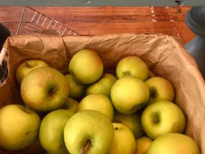 Mansion + Reed General Store apple basket