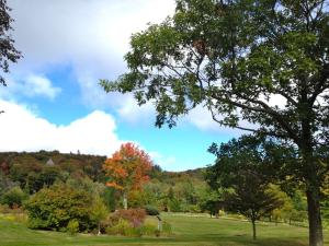 Mountain Top Arboretum in the fall