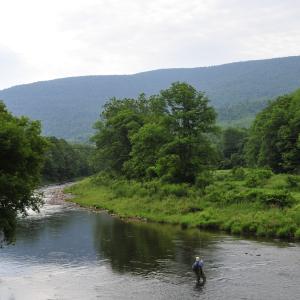 fishing in the Catskills