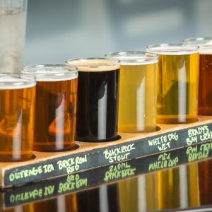 flight of beer at a local Catskills Brewery