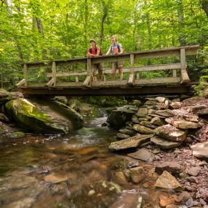 Yankee Smith hiking trail