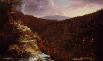 From the Top of Kaaterskill Falls by Thomas Cole