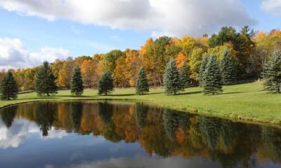 fall colors reflected in water in the catskills