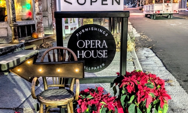 Flowers in front of the sign