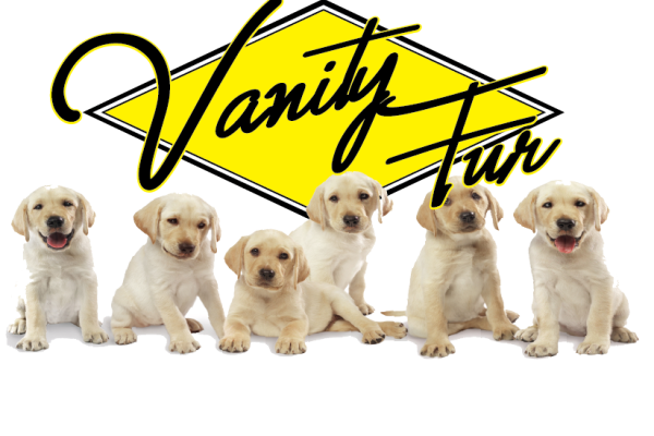 Vanity Fur logo