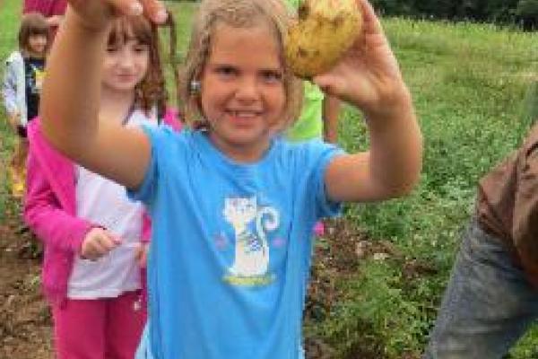 Foxtail Community Farm