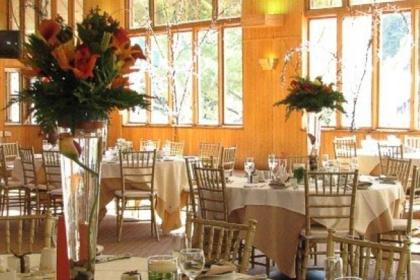 The Copper Tree at Hunter Mountain